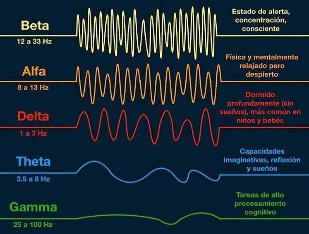 Las ondas de tu cerebro Quiroprácticos en Bilbao